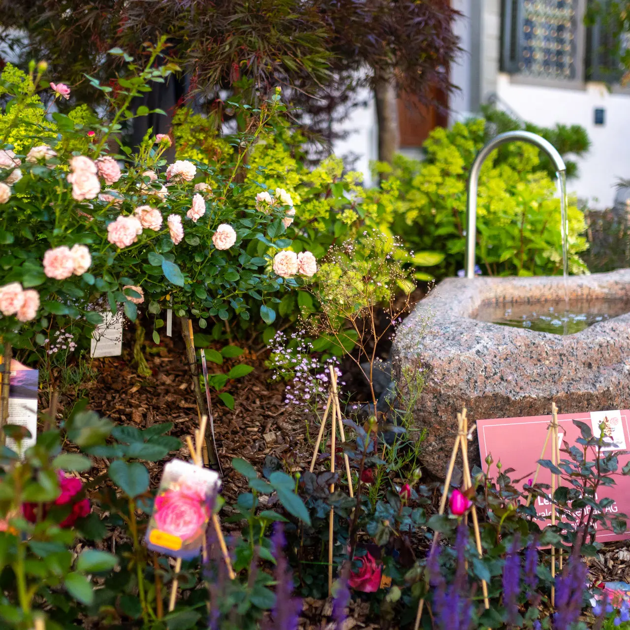 Bild Rosengärten und Ausstellungen